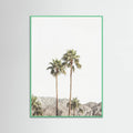 Póster Palm Springs Palms – póster e impresión artística