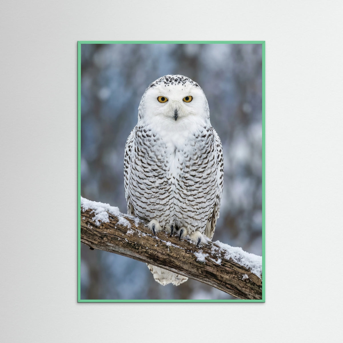 Mint Wood Pandas Serenity