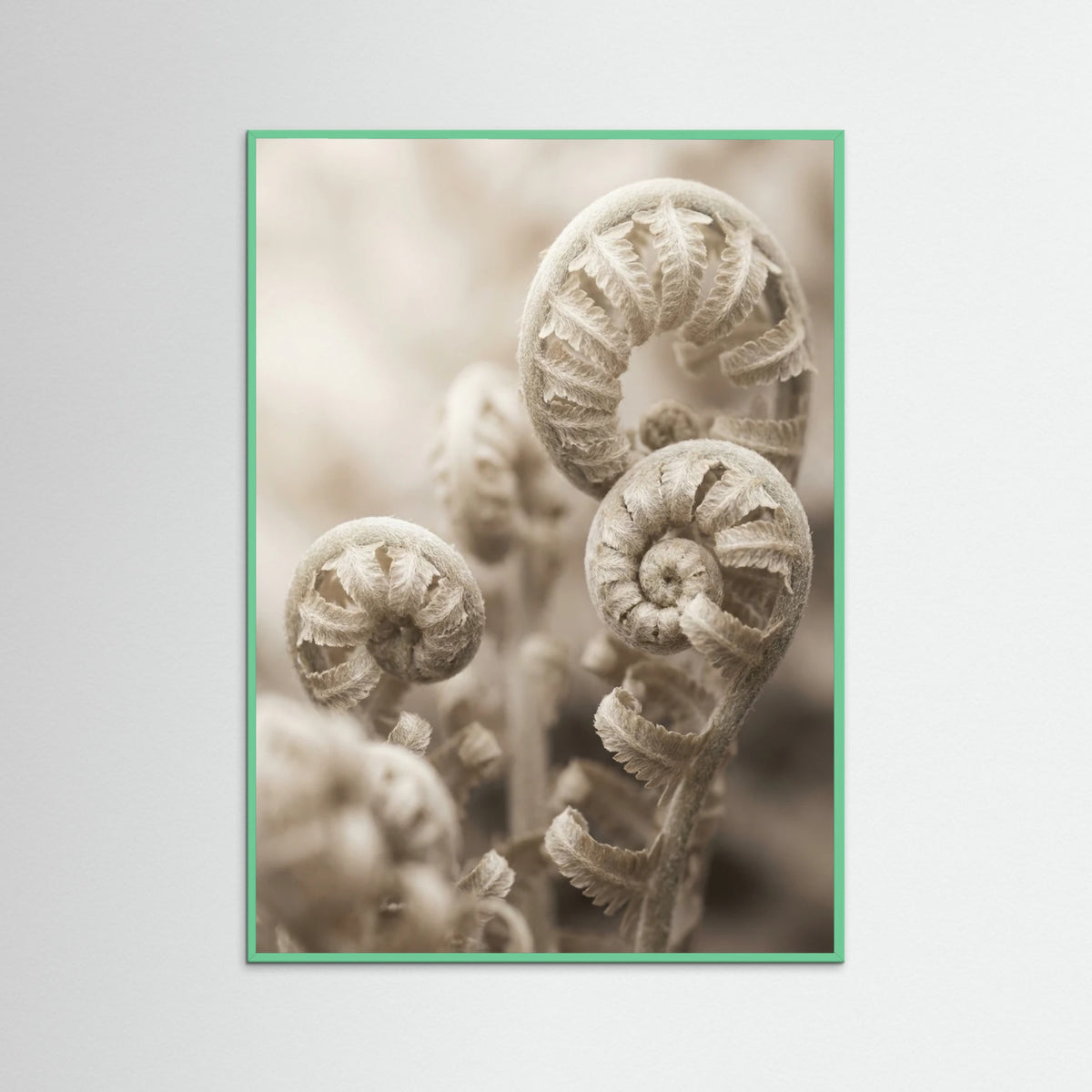 Mint Wood Petal Serenity