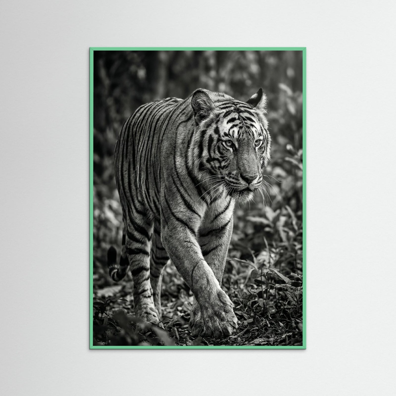 Mint Wood Regal Gaze