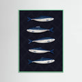 Affiche Sardines – affiche et impression d’art