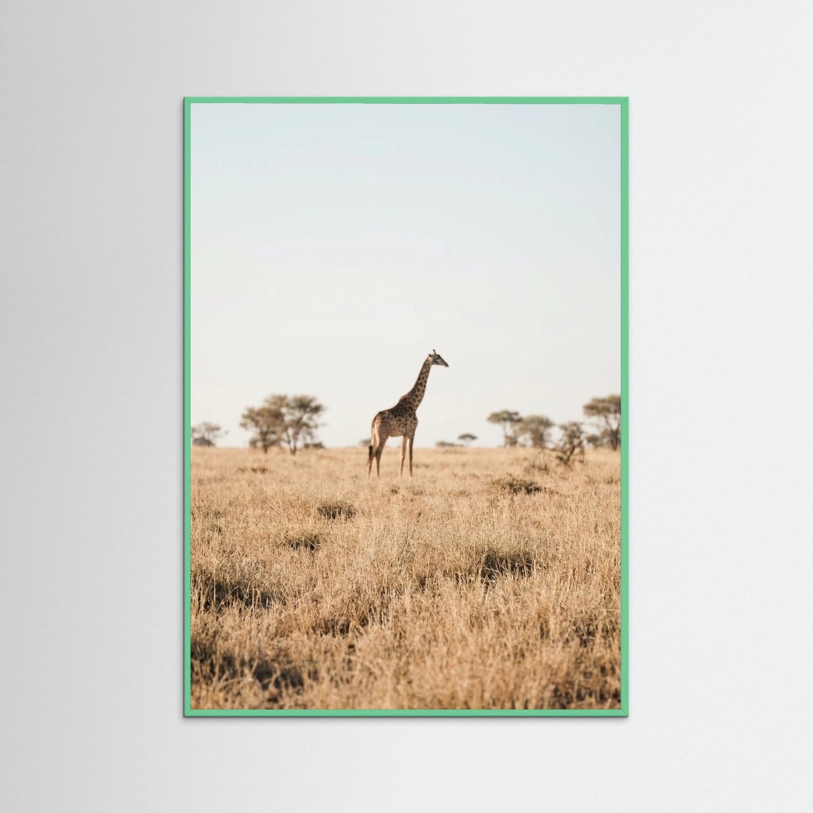 Mint Wood Savannah Solitude