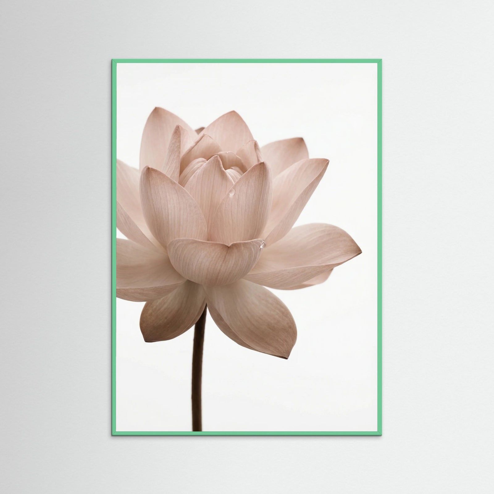 Mint Wood Serene Bloom