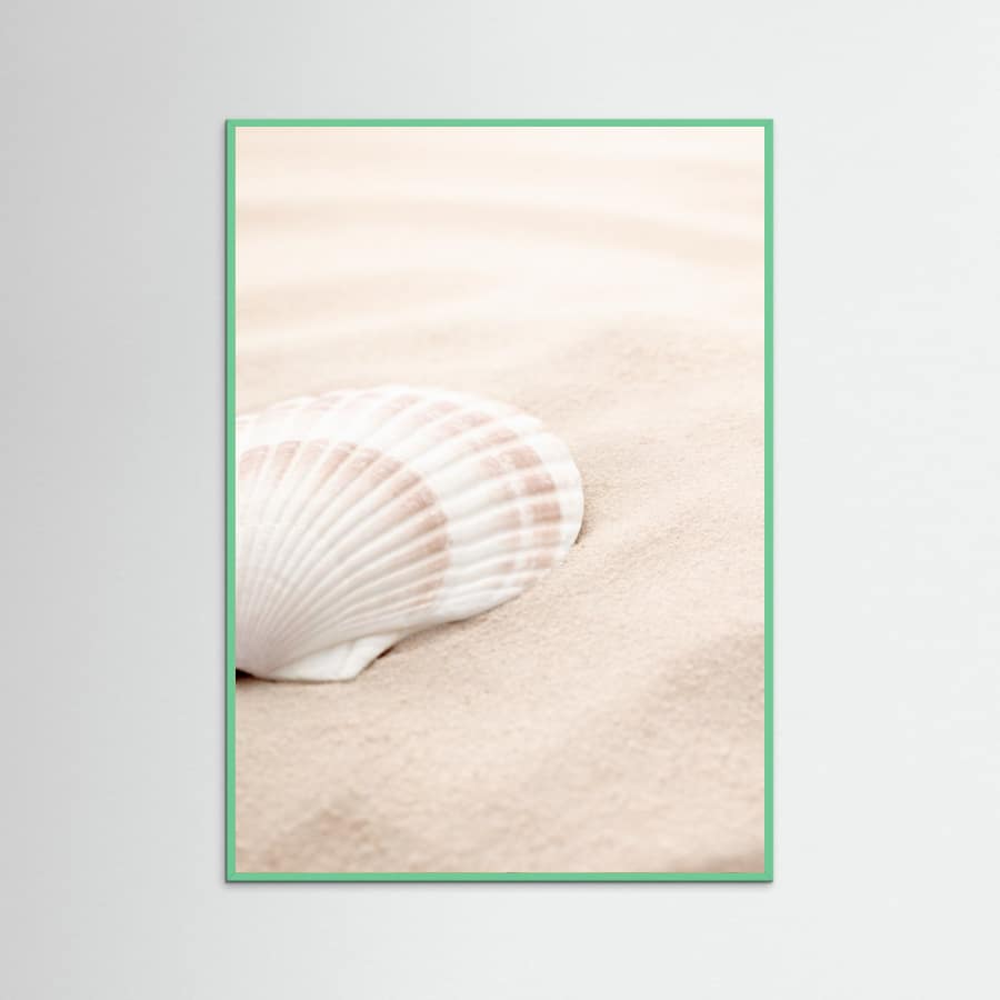 Poster Shell_3 – poster e stampa artistica