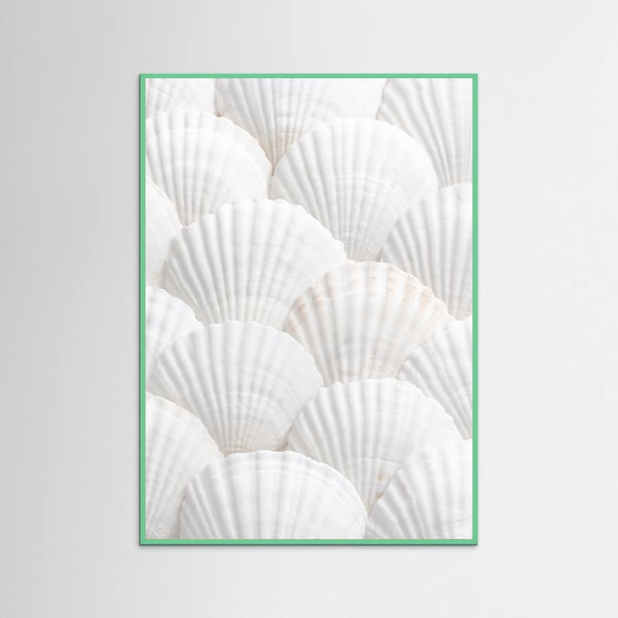Shells_3 Poster – plakat og kunsttryk