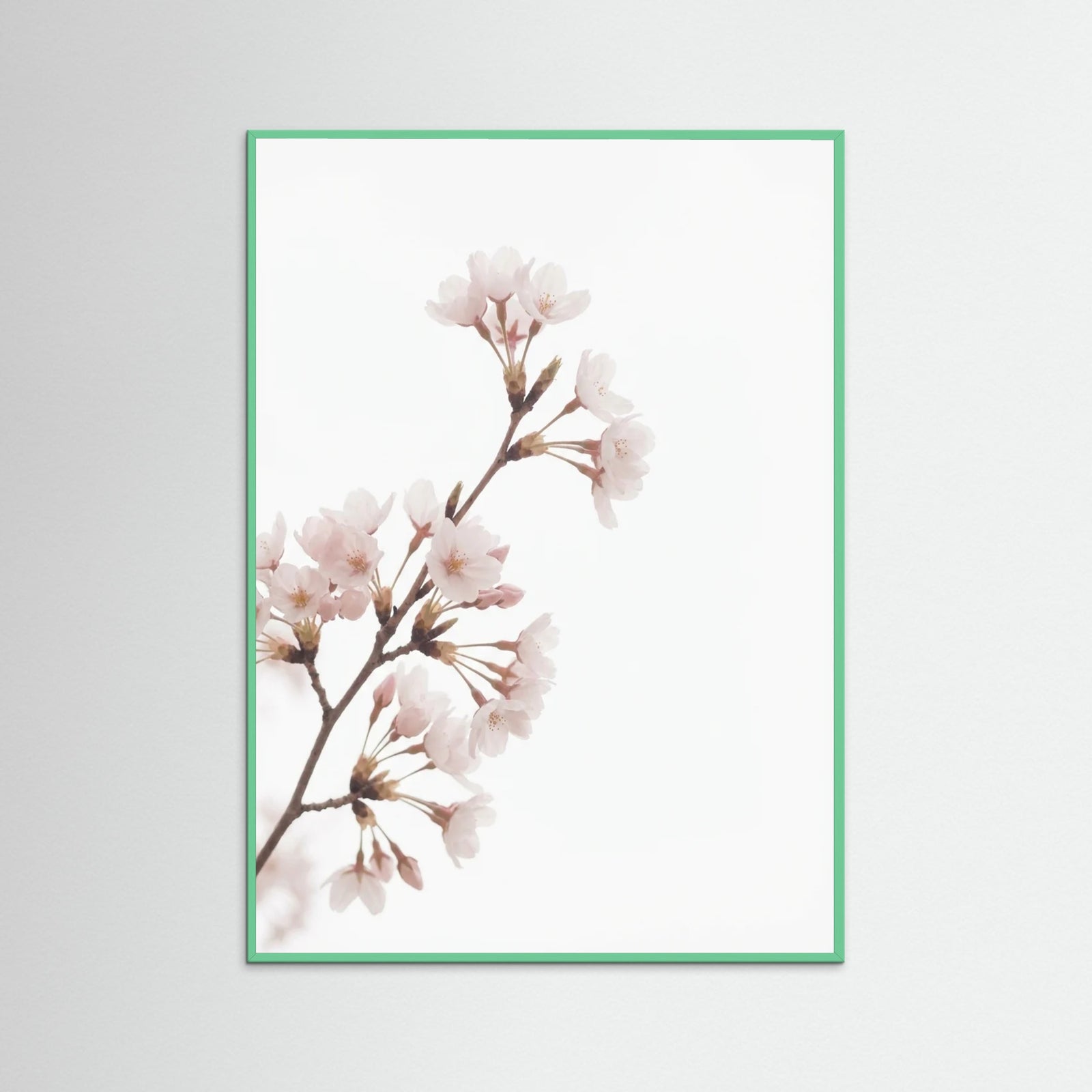 Mint Wood Soft Bloom Study
