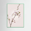 Mint Wood Soft Bloom