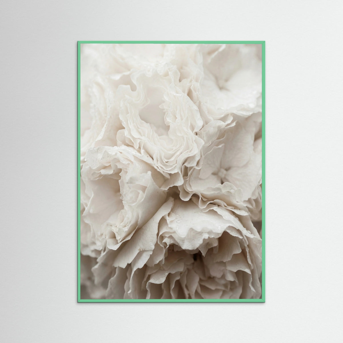 Mint Wood Soft Petals White