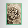 Mint Wood Soft Petals
