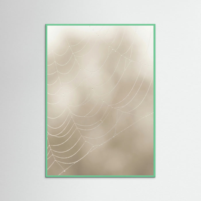 Mint Wood Soft Plume