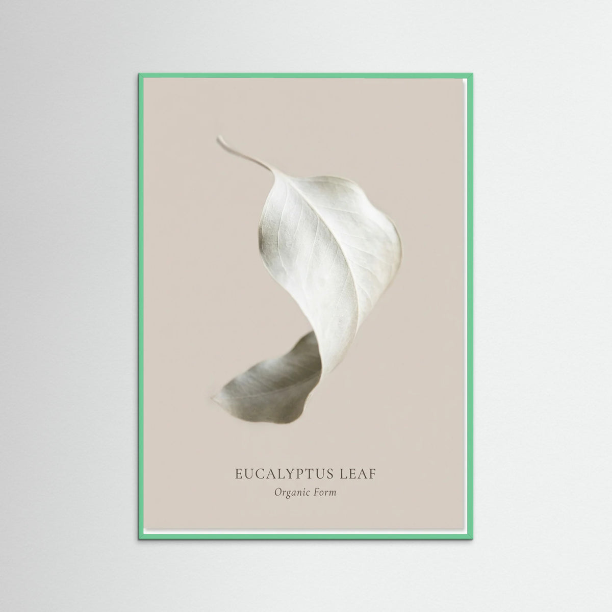 Mint Wood Soft Radiance