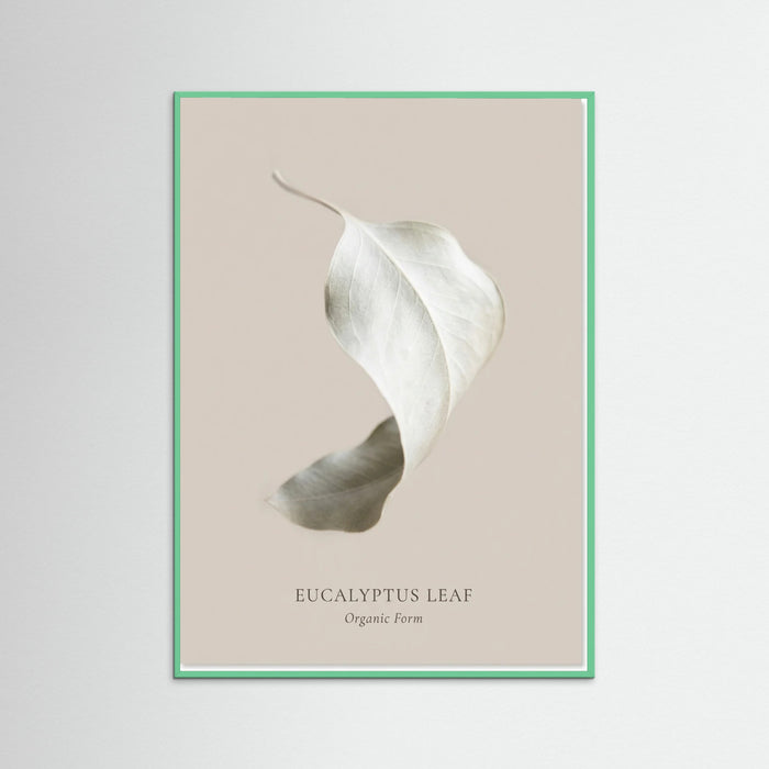 Mint Wood Soft Radiance