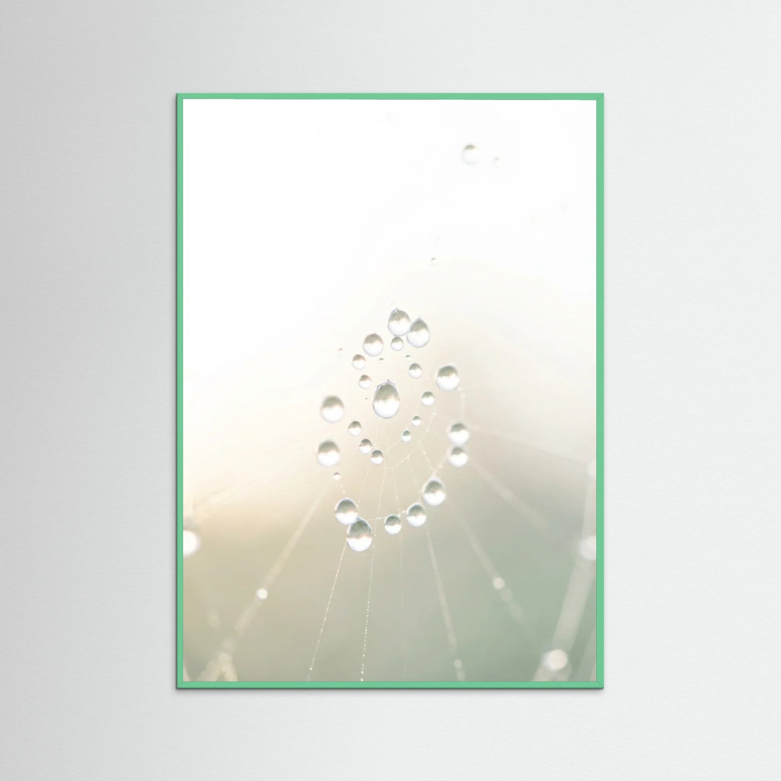 Mint Wood Soft Whisper