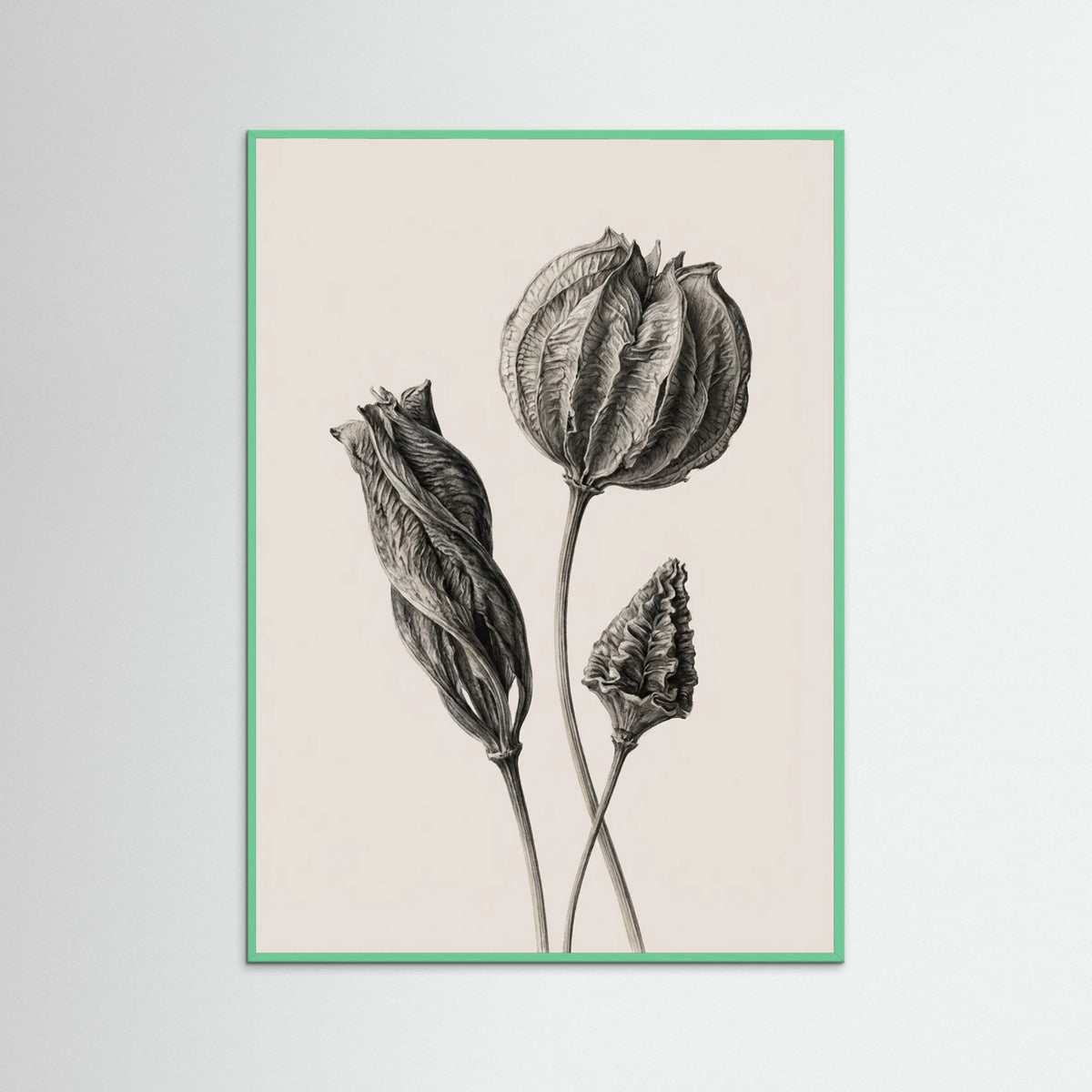 Mint Wood Solitary Bloom