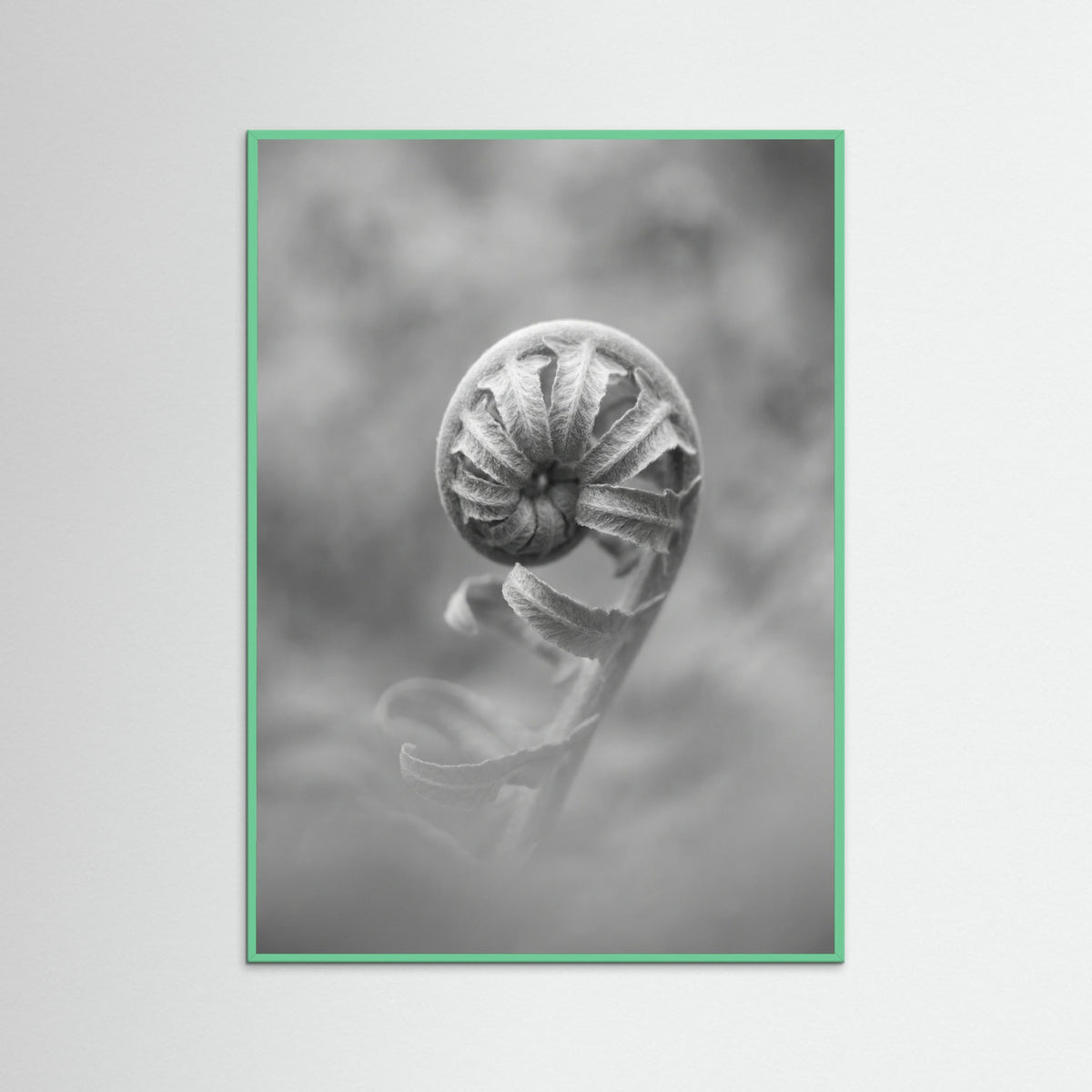 Mint Wood Solitary Bloom