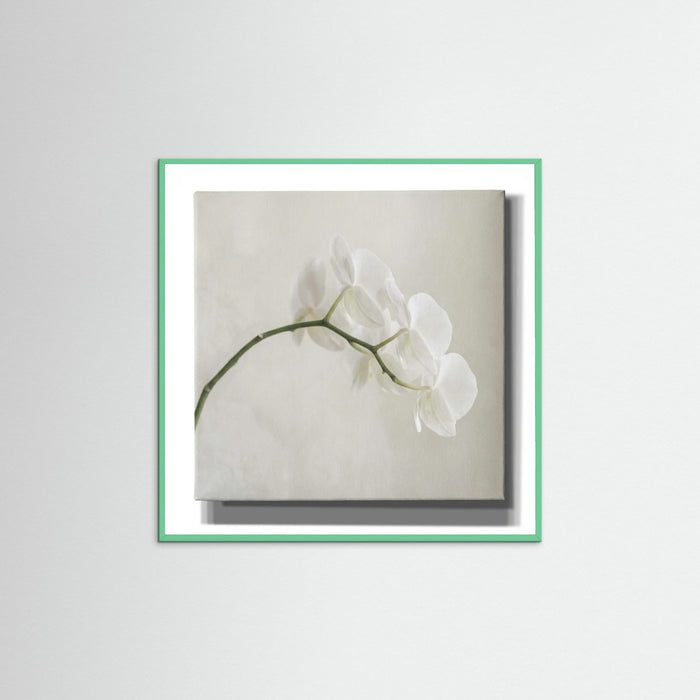 Mint Wood Square Quiet Bloom