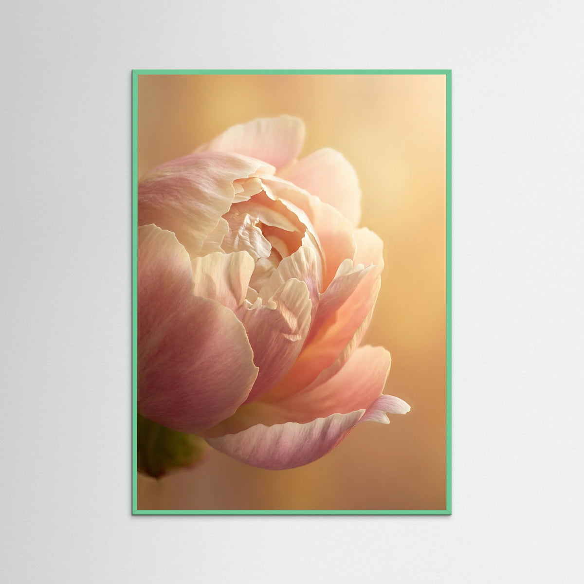 Mint Wood Sunlit Petal Curve