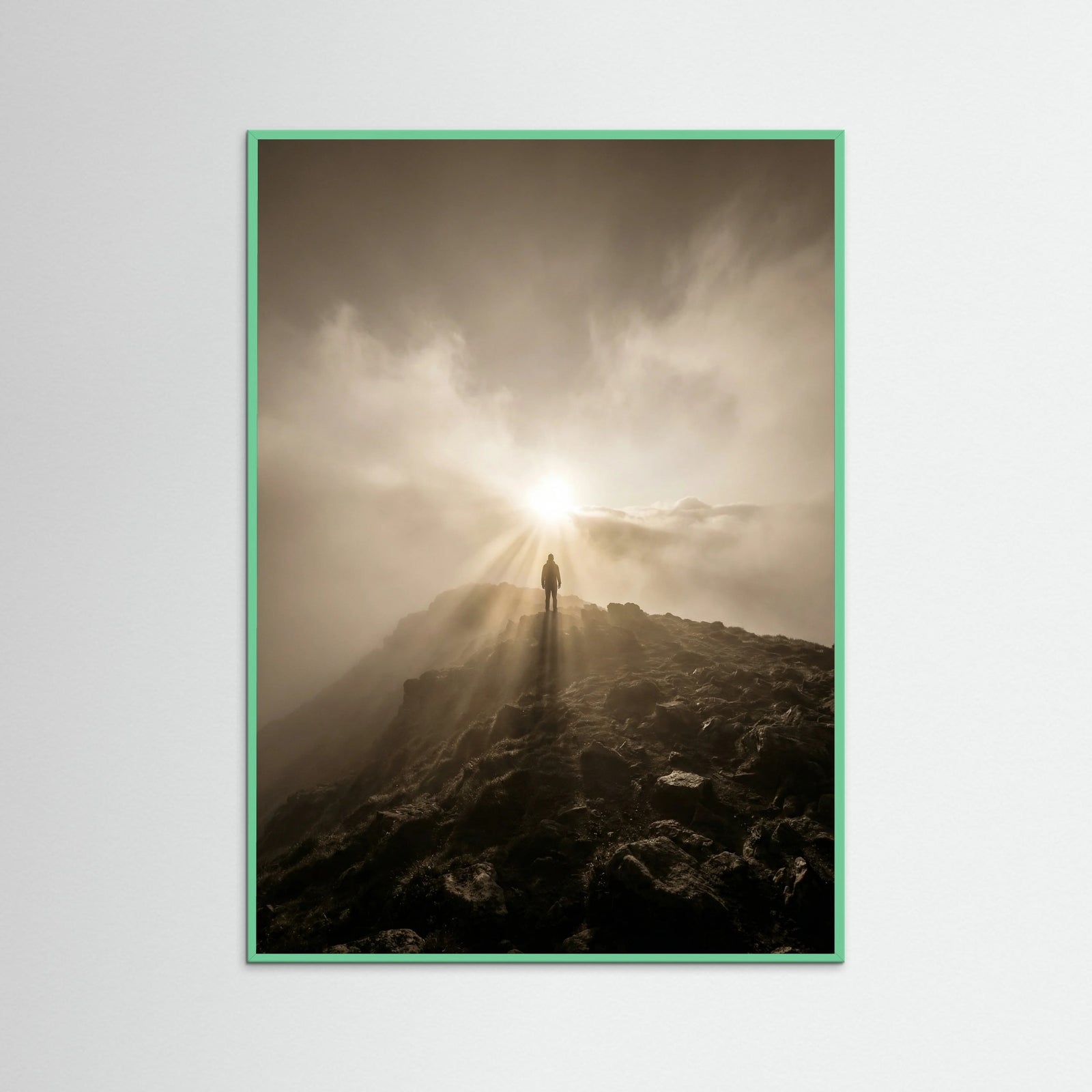 Mint Wood Sunlit Tree