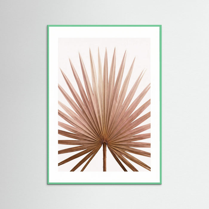 Mint Wood Tropical Blush