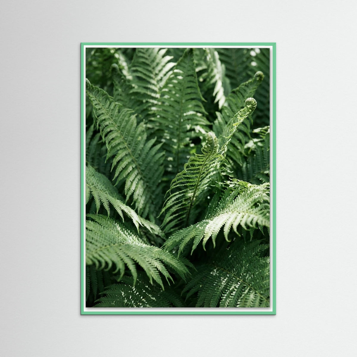 Mint Wood Tropical Serenity