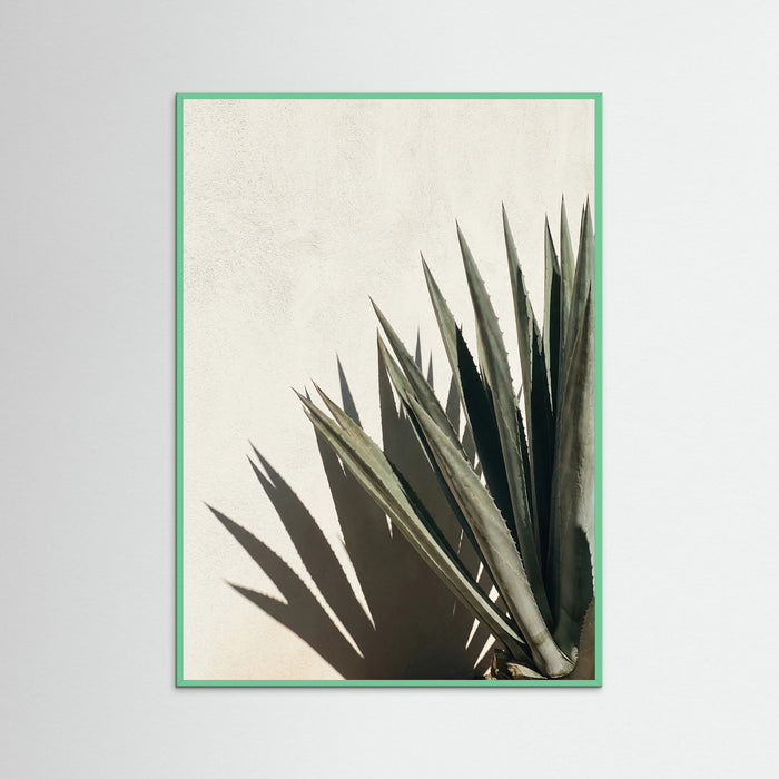 Mint Wood Tropical Shadows