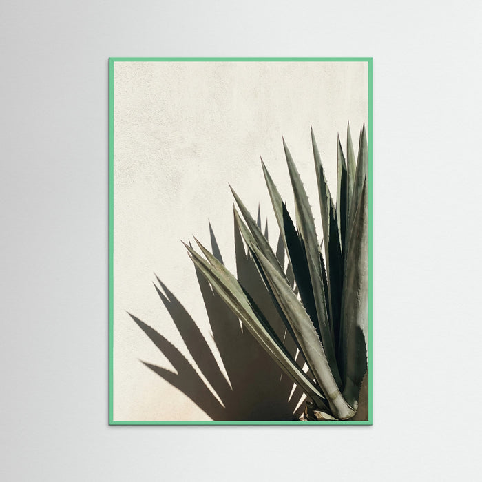 Mint Wood Tropical Shadows
