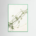 Mint Wood Verdant Calm