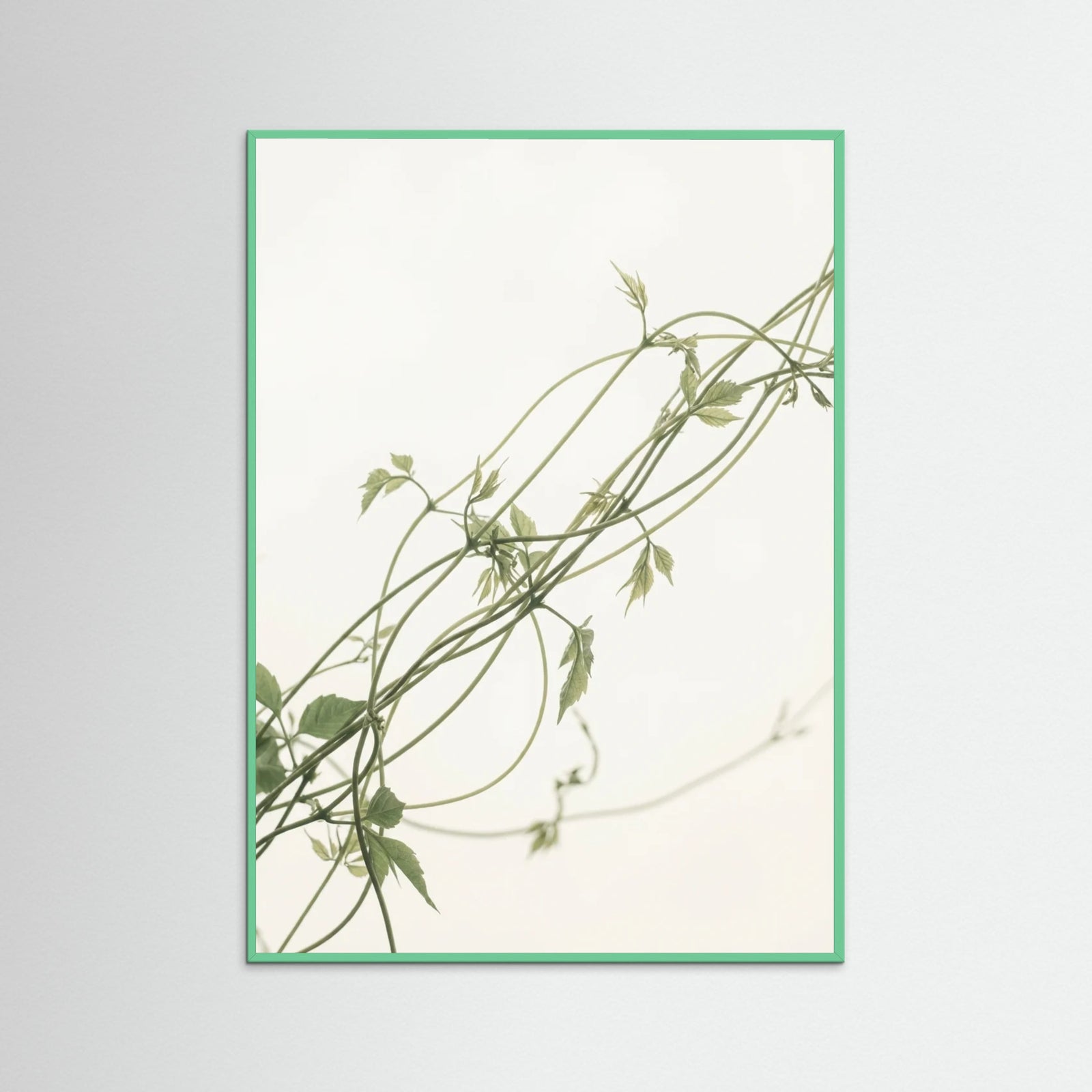 Mint Wood Verdant Calm