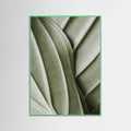 Mint Wood Verdant Folds