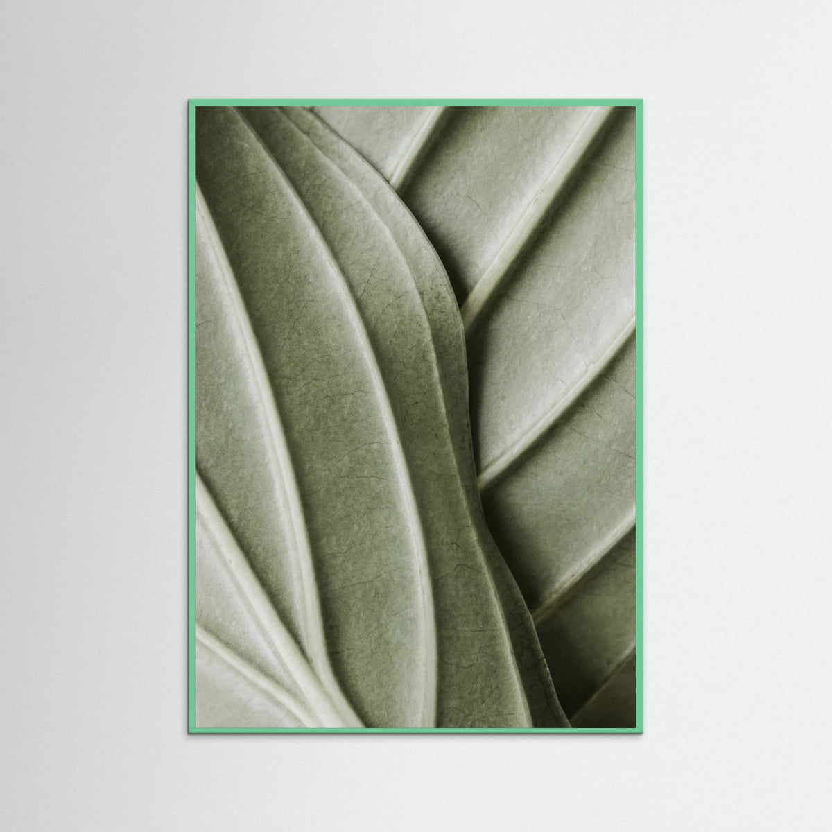 Mint Wood Verdant Folds