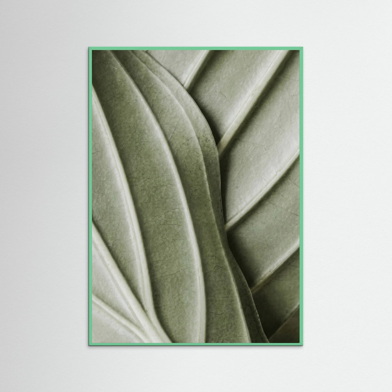 Mint Wood Verdant Folds
