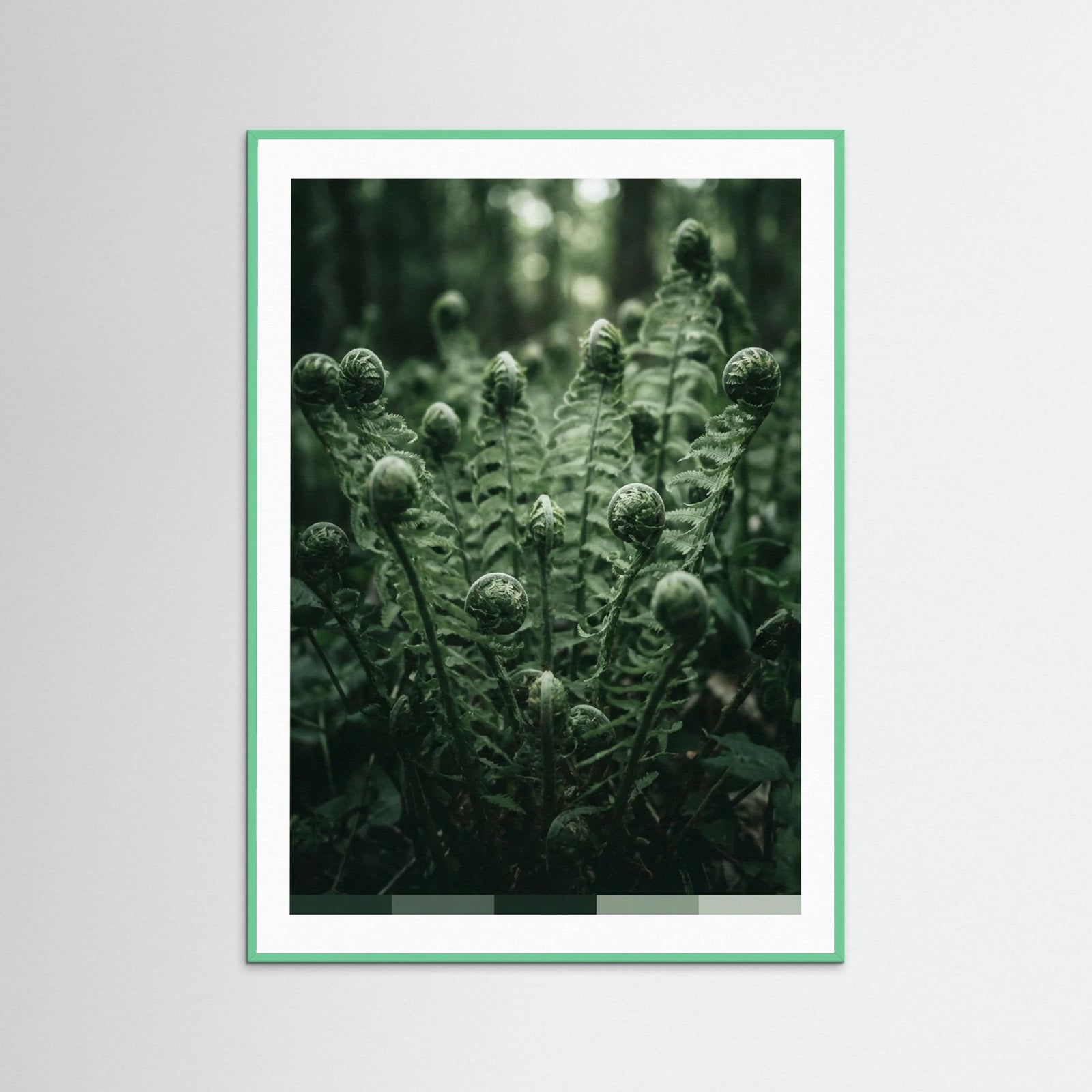 Mint Wood Verdants Depths