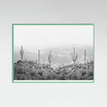 Mint Wood Western Cactus Poster