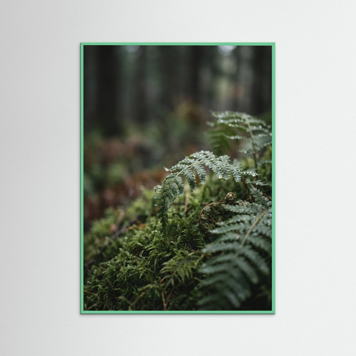 Mint Wood Whispering Meadow