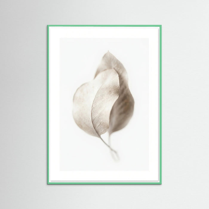 Mint Wood Whispering Plumes