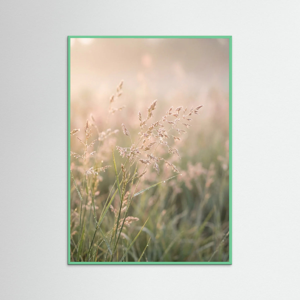 Mint Wood Whispering Poppies