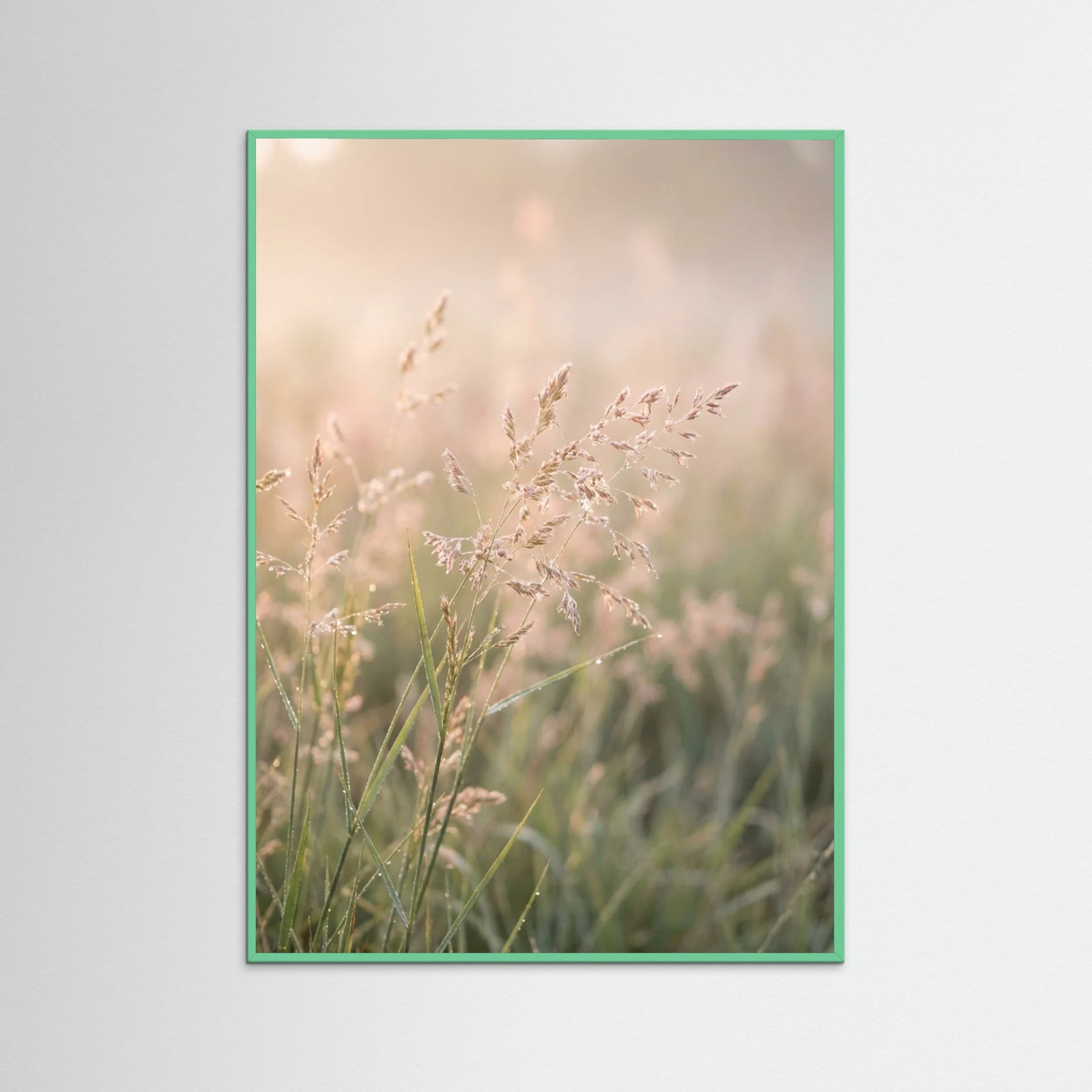 Mint Wood Whispering Poppies