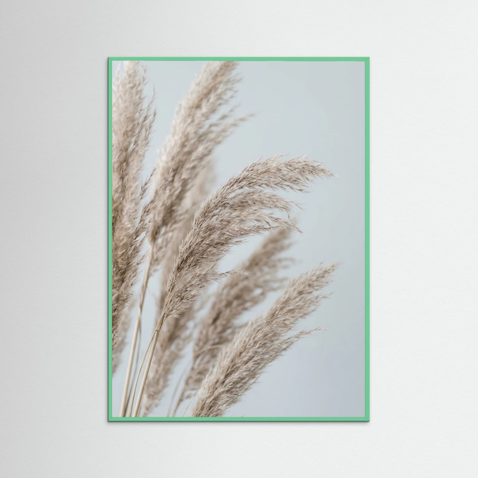 Mint Wood Whispering Seedlings