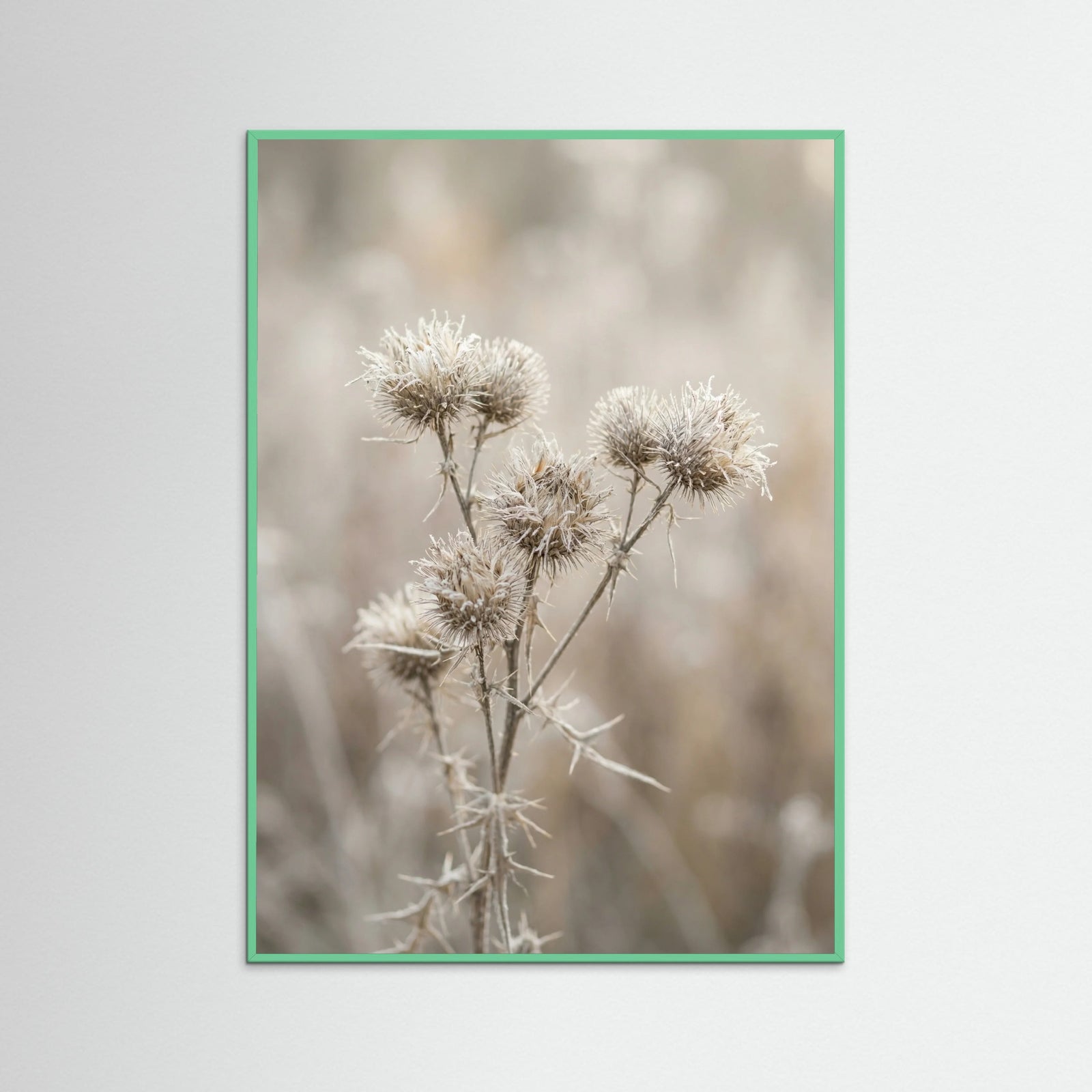 Mint Wood Wild Whisper