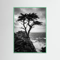 Mint Wood Windblown Grace