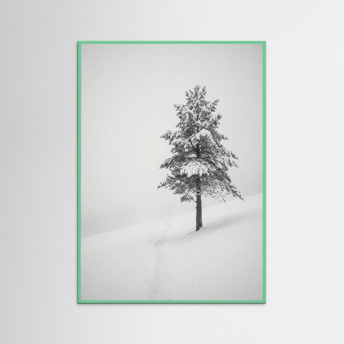 Mint Wood Winter Ascent