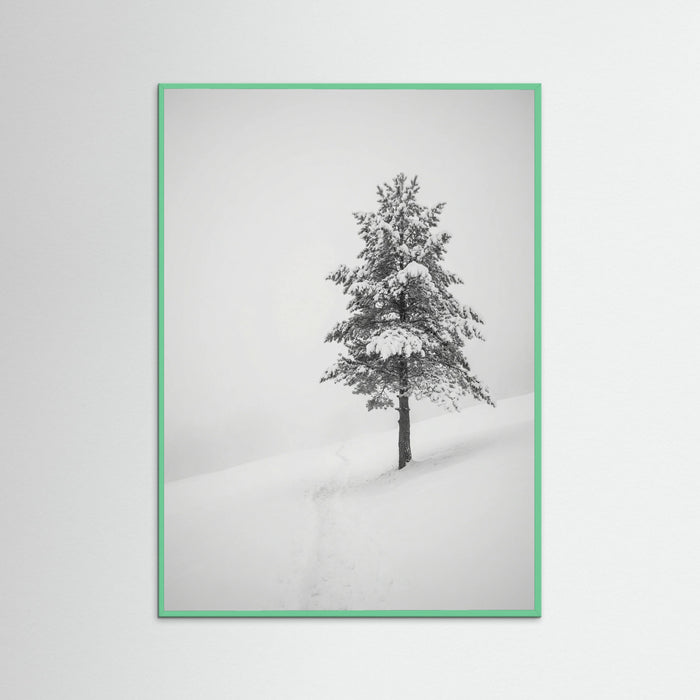 Mint Wood Winter Ascent