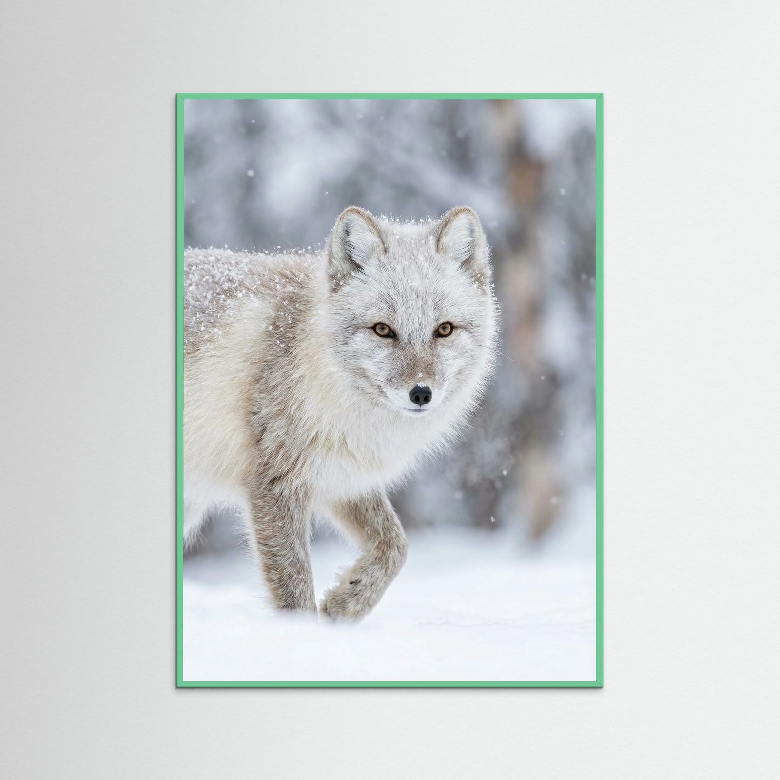 Mint Wood Winter Majesty