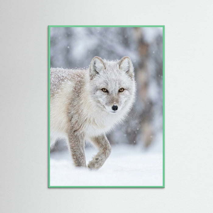 Mint Wood Winter Majesty