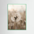 Mint Wood Winter Whisper