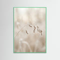 Mint Wood Winter Whispers