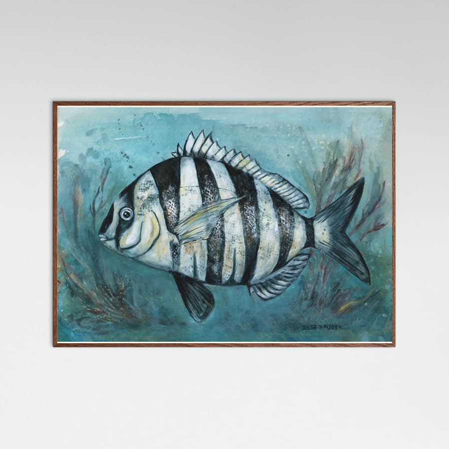 240 Zebra Master Poster – Poster und Kunstdruck