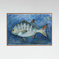 241 Galjoen Master Poster – Poster und Kunstdruck