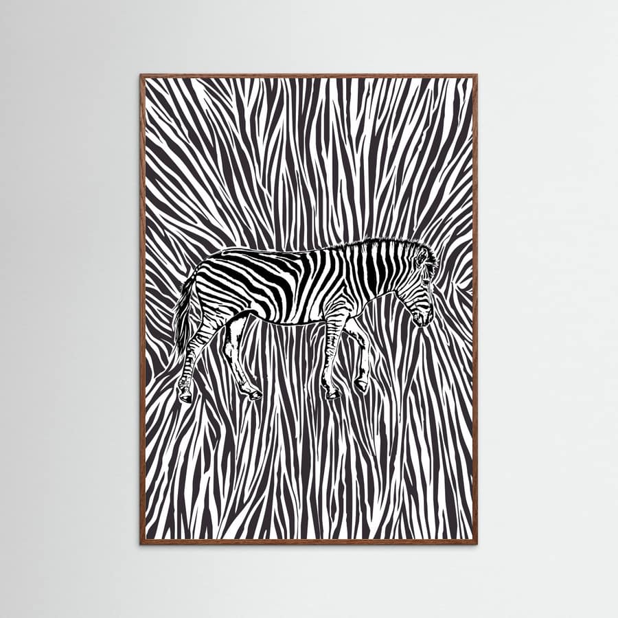 African Zebra striking camouflage -juliste – juliste ja taidepainatus