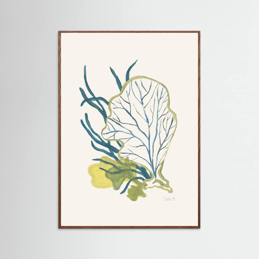 Algae No1 Poster – poster and art print